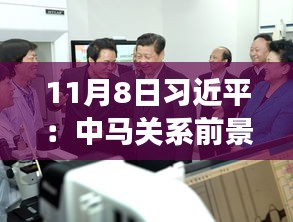 11月8日習(xí)近平：中馬關(guān)系前景光明 未來可期，11月8日習(xí)近平主席談中馬關(guān)系，未來光明，前景可期