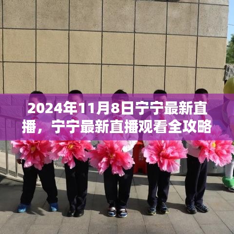 寧寧直播指南，2024年11月8日直播觀看全攻略與入門指南