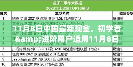 初學(xué)者與進(jìn)階用戶指南，11月8日中國(guó)最新現(xiàn)金操作指南及任務(wù)完成步驟詳解