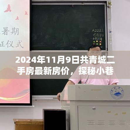 2024年共青城二手房最新房價(jià)揭秘，小巷特色小店探秘