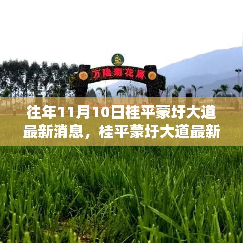 桂平蒙圩大道最新動態(tài)獲取全攻略，輕松掌握最新消息動態(tài)