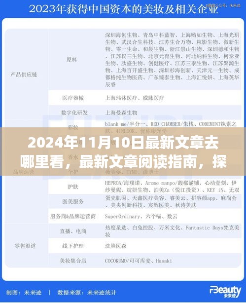 探尋最新文章閱讀指南，揭秘2024年11月10日的精彩內(nèi)容