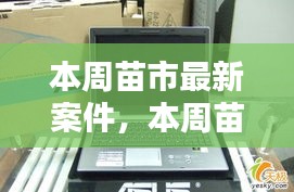 本周苗市熱點揭秘，最新案件動態(tài)全掌握