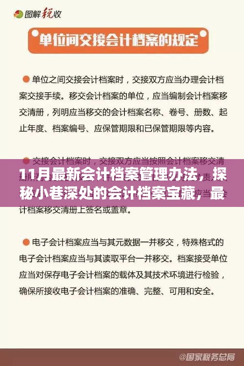 探秘最新會計(jì)檔案管理辦法，小巷深處的寶藏與獨(dú)特故事揭秘