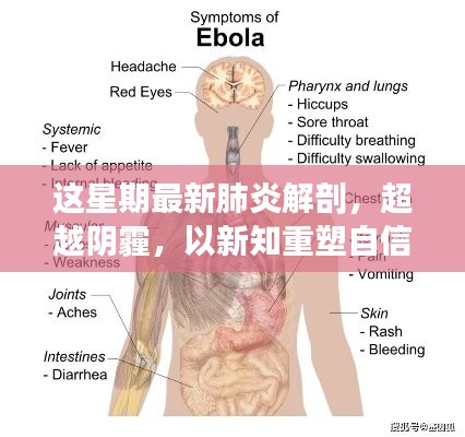 超越陰霾，最新肺炎解剖啟示錄，重塑信心與新知的探索