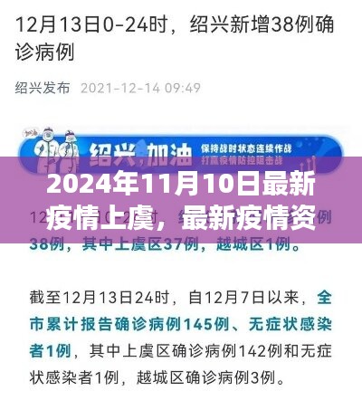 2024年11月10日上虞疫情最新動態(tài)與資訊解析