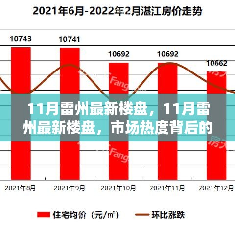 市場熱度背后的深度解讀與個人立場，11月雷州最新樓盤觀察