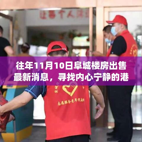 阜城樓房最新出售消息，尋找心靈寧?kù)o的自然探索之旅