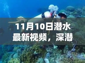 揭秘深潛新紀(jì)元，潛水最新視頻的時(shí)代意義與影響（11月10日更新）