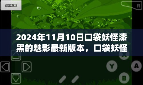 口袋妖怪漆黑的魅影，最新版本的探索與影響