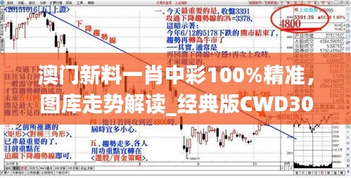 澳門新料一肖中彩100%精準(zhǔn)，圖庫走勢解讀_經(jīng)典版CWD305.61