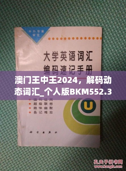 澳門王中王2024，解碼動態(tài)詞匯_個人版BKM552.33指南