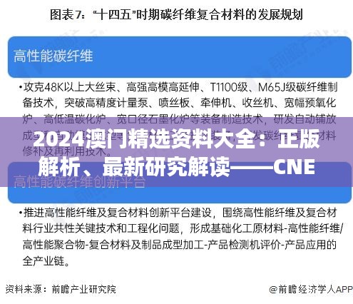 2024澳門精選資料大全：正版解析、最新研究解讀——CNE350.58可變版