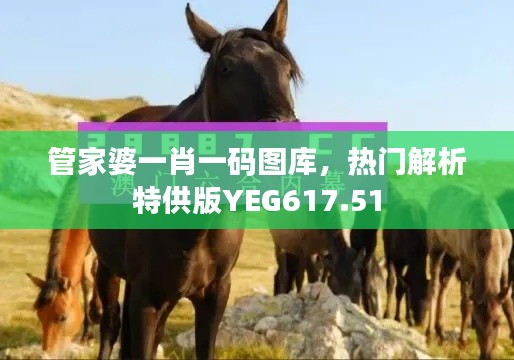 管家婆一肖一碼圖庫，熱門解析特供版YEG617.51