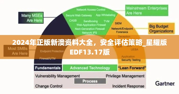 2024年正版新澳資料大全，安全評估策略_星耀版EDF13.17版