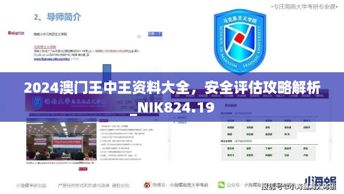 2024澳門(mén)王中王資料大全，安全評(píng)估攻略解析_NIK824.19