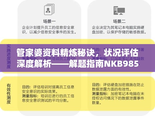 管家婆資料精煉秘訣，狀況評(píng)估深度解析——解題指南NKB985.33