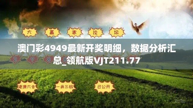 澳門彩4949最新開獎明細，數(shù)據(jù)分析匯總_領(lǐng)航版VJT211.77