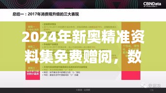 2024年新奧精準(zhǔn)資料集免費(fèi)贈閱，數(shù)據(jù)解讀詳盡_授權(quán)版ARV587.79