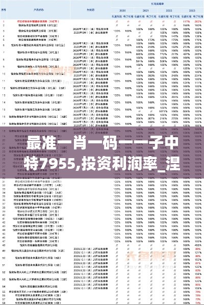 最準一肖一碼一一子中特7955,投資利潤率_涅槃境XRO458.84