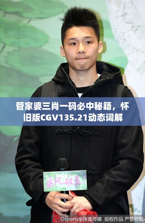 管家婆三肖一碼必中秘籍，懷舊版CGV135.21動態(tài)詞解