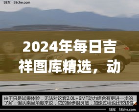 2024年每日吉祥圖庫精選，動態(tài)解讀_SXR232.69遺憾缺席