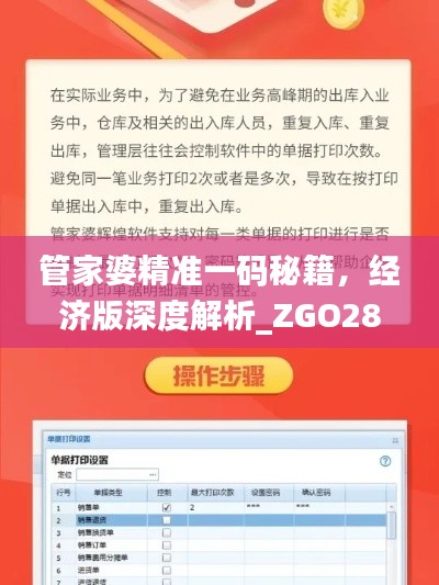 管家婆精準(zhǔn)一碼秘籍，經(jīng)濟版深度解析_ZGO289.56