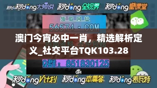 澳門今宵必中一肖，精選解析定義_社交平臺(tái)TQK103.28