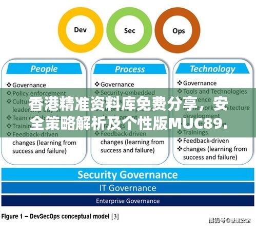 香港精準(zhǔn)資料庫免費(fèi)分享，安全策略解析及個(gè)性版MUC89.16攻略