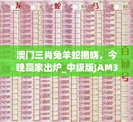 澳門(mén)三肖兔羊蛇揭曉，今晚贏家出爐_中級(jí)版JAM324.11