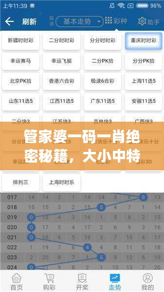 管家婆一碼一肖絕密秘籍，大小中特精準(zhǔn)解析，JRW112.88編程版最新解讀