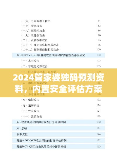 2024管家婆獨(dú)碼預(yù)測資料，內(nèi)置安全評估方案DPV19.31