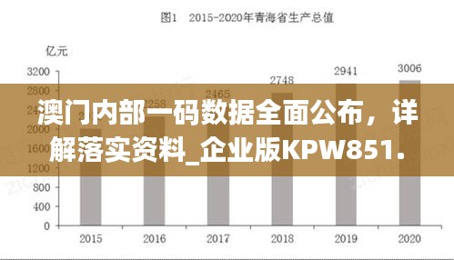 澳門內(nèi)部一碼數(shù)據(jù)全面公布，詳解落實(shí)資料_企業(yè)版KPW851.07