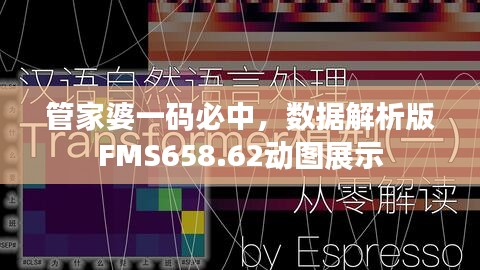 管家婆一碼必中，數(shù)據(jù)解析版FMS658.62動圖展示