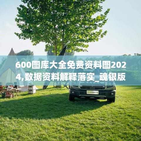 600圖庫大全免費(fèi)資料圖2024,數(shù)據(jù)資料解釋落實(shí)_魂銀版YCH825.3