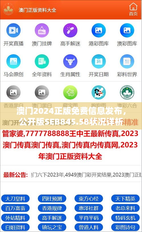 澳門2024正版免費信息發(fā)布，公開版SEB845.58狀況詳析