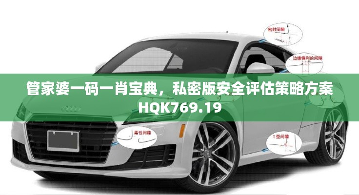 管家婆一碼一肖寶典，私密版安全評估策略方案HQK769.19