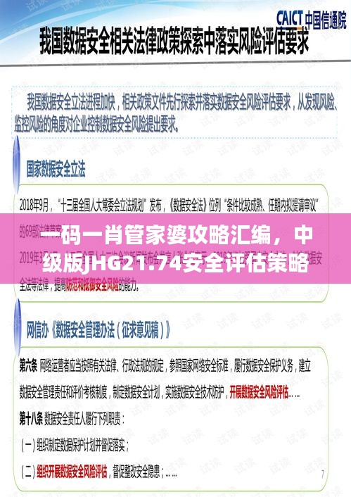 一碼一肖管家婆攻略匯編，中級版JHG21.74安全評估策略