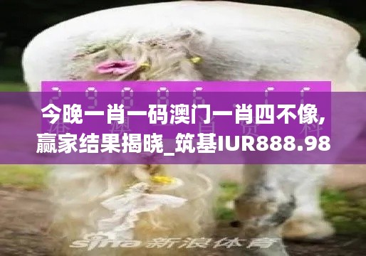 今晚一肖一碼澳門(mén)一肖四不像,贏家結(jié)果揭曉_筑基IUR888.98