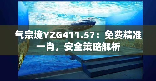 氣宗境YZG411.57：免費(fèi)精準(zhǔn)一肖，安全策略解析