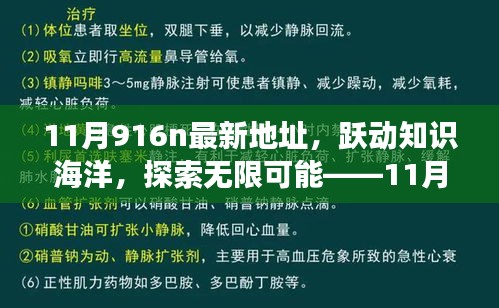 躍動(dòng)知識(shí)海洋，探索無限可能，揭秘11月916n新地址魔法之旅，學(xué)習(xí)成就自信與成長