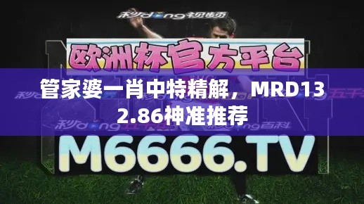 管家婆一肖中特精解，MRD132.86神準推薦