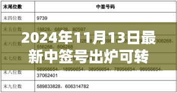 揭秘，2024年最新可轉(zhuǎn)債中簽號出爐背后的影響與時代地位分析