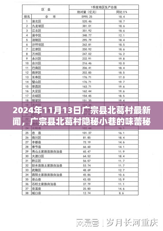 廣宗縣北葛村隱秘小巷的美食秘境，最新探秘之旅（2024年11月13日）