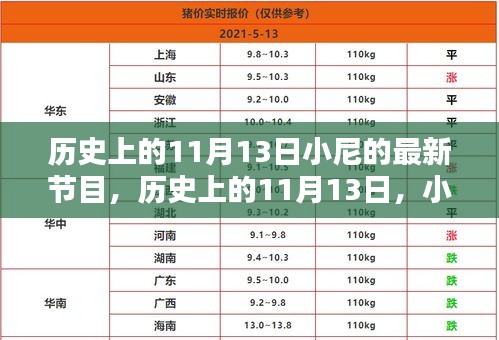 小尼最新節(jié)目深度解析，歷史上的十一月十三日