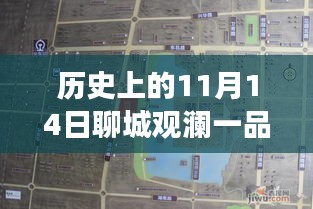 聊城觀瀾一品揭秘之旅，11月14日最新動(dòng)態(tài)探秘隱藏小巷