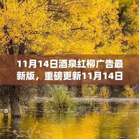 11月14日酒泉紅柳廣告最新版，重磅更新，精彩紛呈