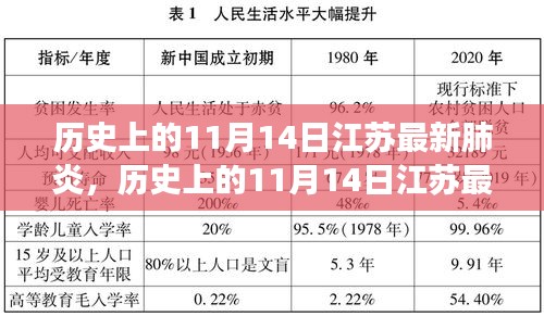 歷史上的11月14日江蘇最新肺炎事件深度解析，影響與啟示