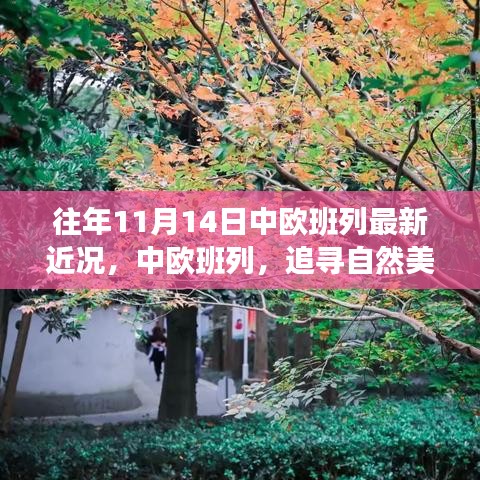 中歐班列秋日序曲，追尋自然美景與內(nèi)心寧靜之旅的最新近況