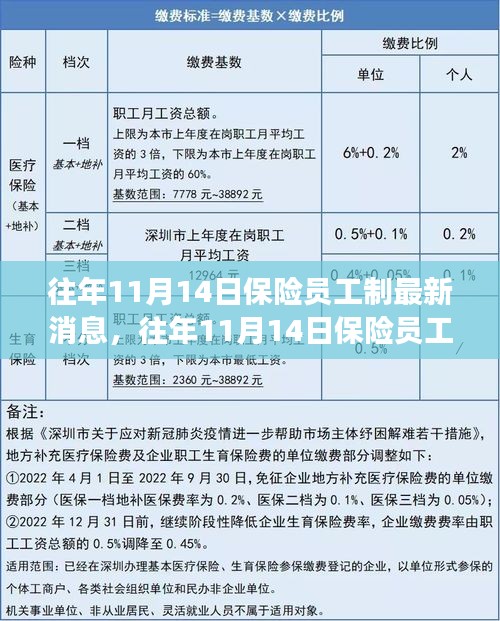 三大要點深度解讀，往年11月14日保險員工制最新消息與更新解讀